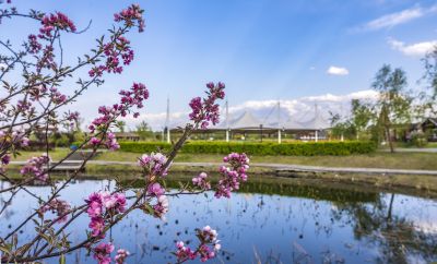 长岭湖夏季风光