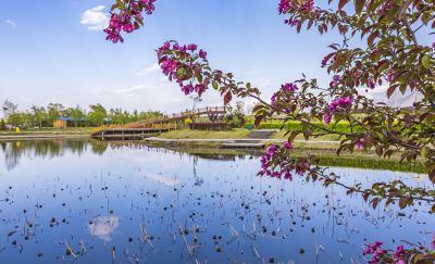 长岭湖夏季风光