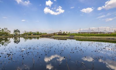 长岭湖夏季风光