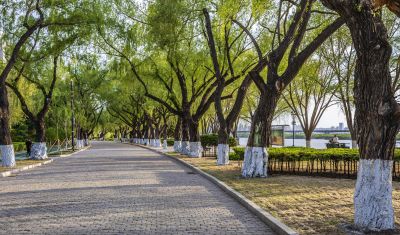 江畔斯大林公园夏日