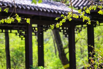 植物园