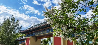 哈尔滨医科大学校园花开
