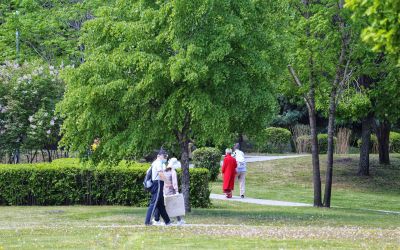 夏日太阳岛上游人