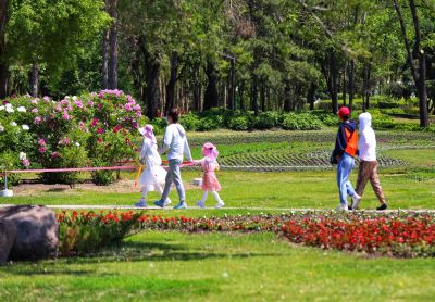 夏日太阳岛上游人