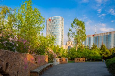 丁香公园掠影1