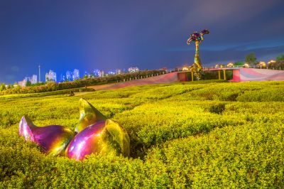 丁香公园掠影2