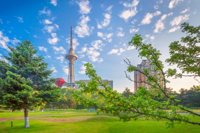 湘江公园龙塔晨韵
