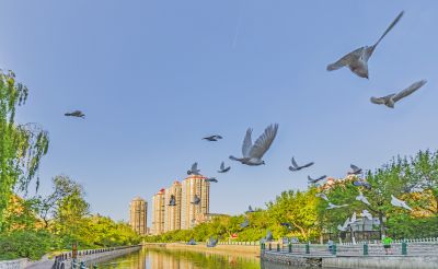马家沟儿童公园段