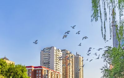 马家沟儿童公园段