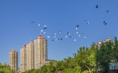 马家沟儿童公园段