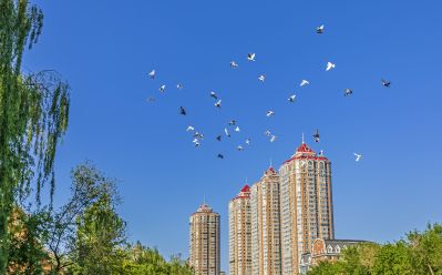 马家沟儿童公园段