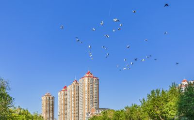 马家沟儿童公园段
