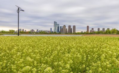 群力外滩初夏
