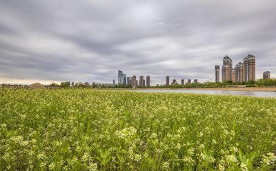 群力外滩初夏