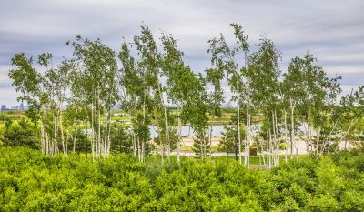 群力外滩初夏