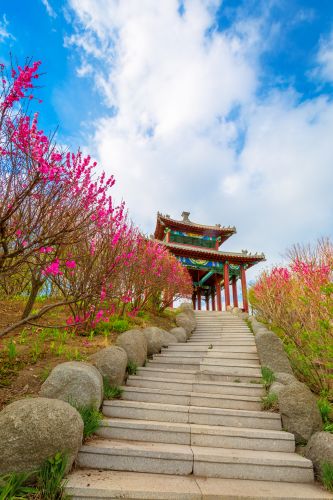 中国亭园花红柳绿春正好
