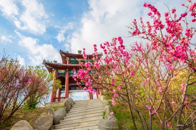 中国亭园花红柳绿春正好