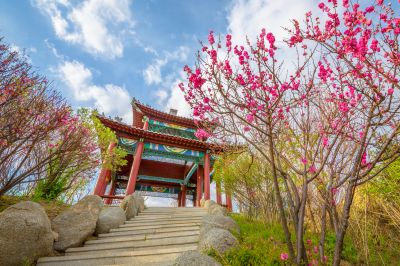 中国亭园花红柳绿春正好