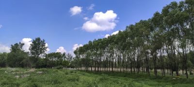 何家沟平房区段风光