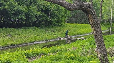 何家沟平房区段风光