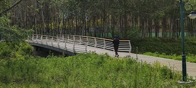 何家沟平房区段风光
