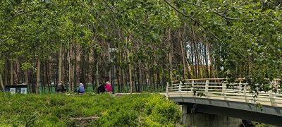 何家沟平房区段风光