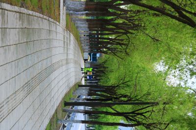 端午踏青