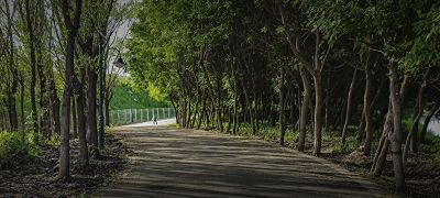  小品一组