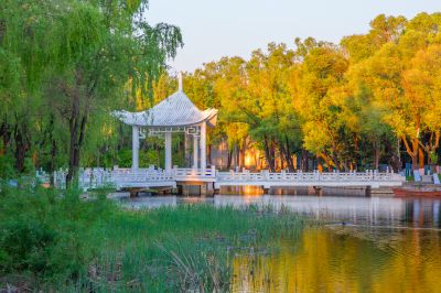 绿肥红瘦太阳岛