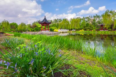 中国亭园的夏日风景2