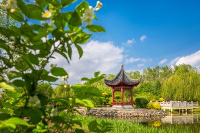 中国亭园的夏日风景2