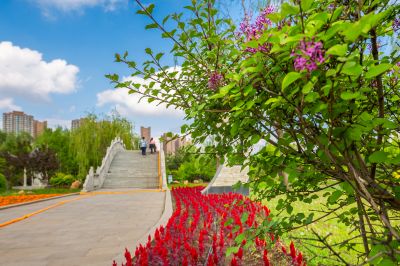 中国亭园的夏日风景2