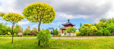 中国亭园的夏日风景2