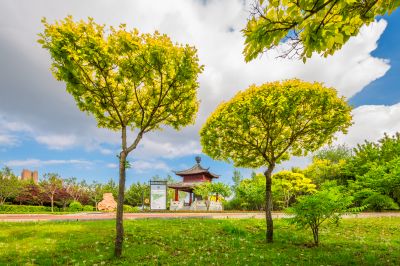 中国亭园的夏日风景2