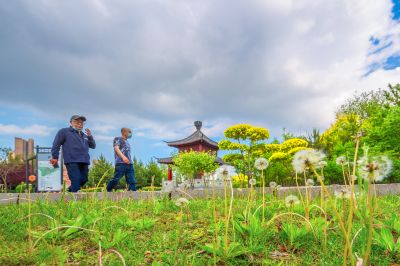 中国亭园的夏日风景2