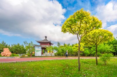 中国亭园的夏日风景2