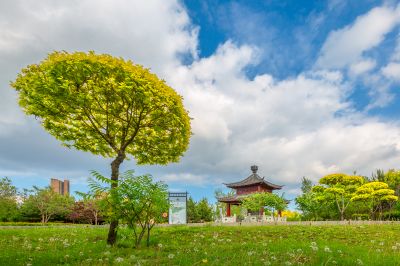 中国亭园的夏日风景2