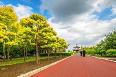 中国亭园的夏日风景2