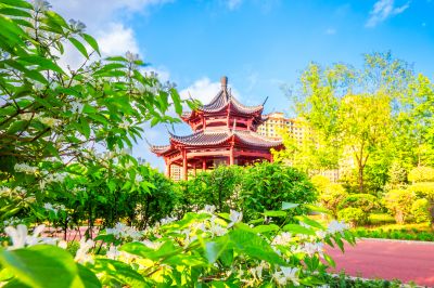 中国亭园的夏日风景