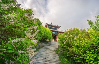 中国亭园的夏日风景