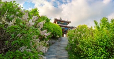 中国亭园的夏日风景