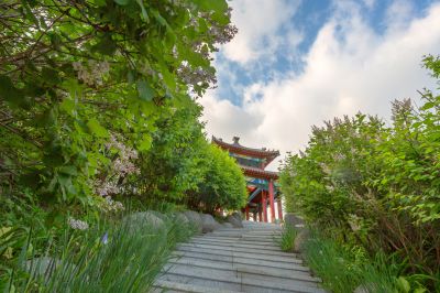 中国亭园的夏日风景