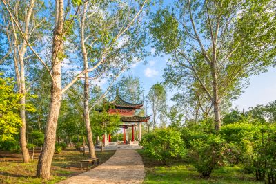 中国亭园的夏日风景