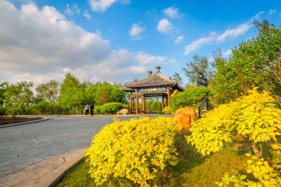 中国亭园的夏日风景