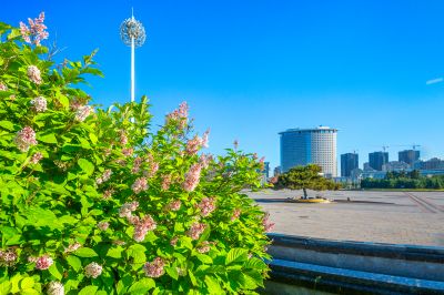 政府广场夏日掠影