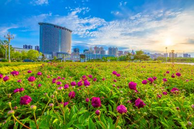 政府广场夏日掠影