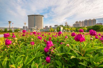 政府广场夏日掠影