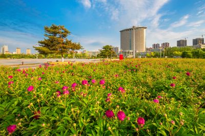 政府广场夏日掠影