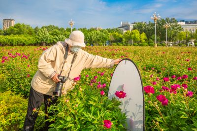 政府广场夏日掠影