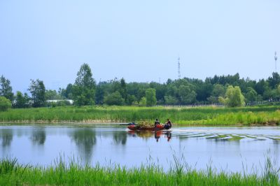 大剧院湿地风光